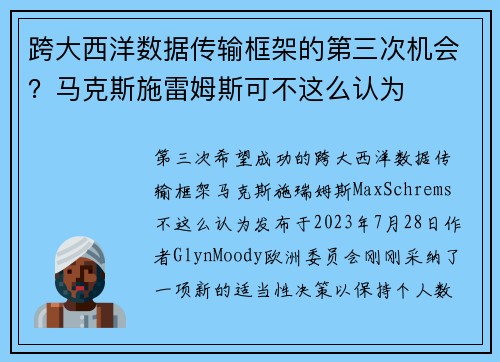 跨大西洋数据传输框架的第三次机会？马克斯施雷姆斯可不这么认为