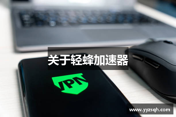 关于轻蜂加速器